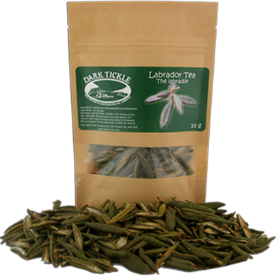 Labrador Tea