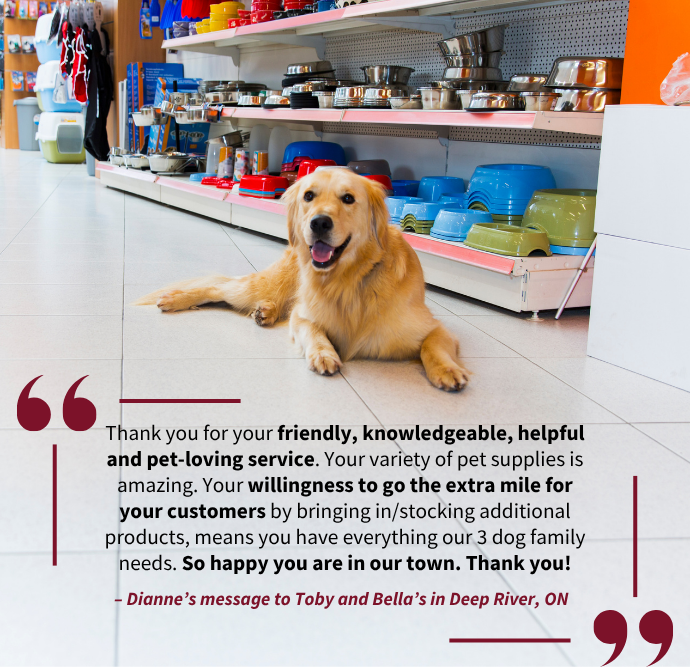 thank-you message on an image of a dog in a pet store